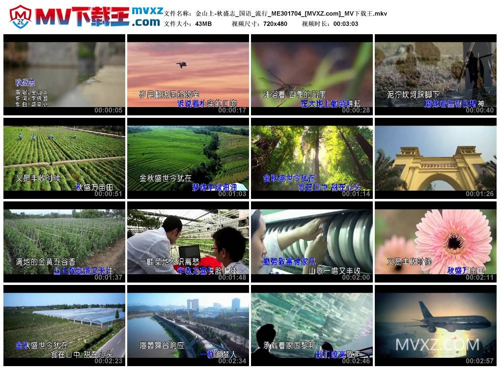 金山上-秋盛志_国语_流行_ME301704